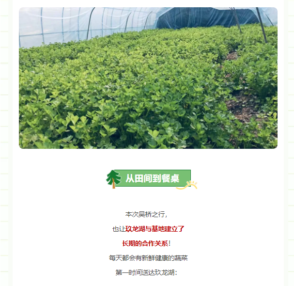 微信截图_20250401144419.png